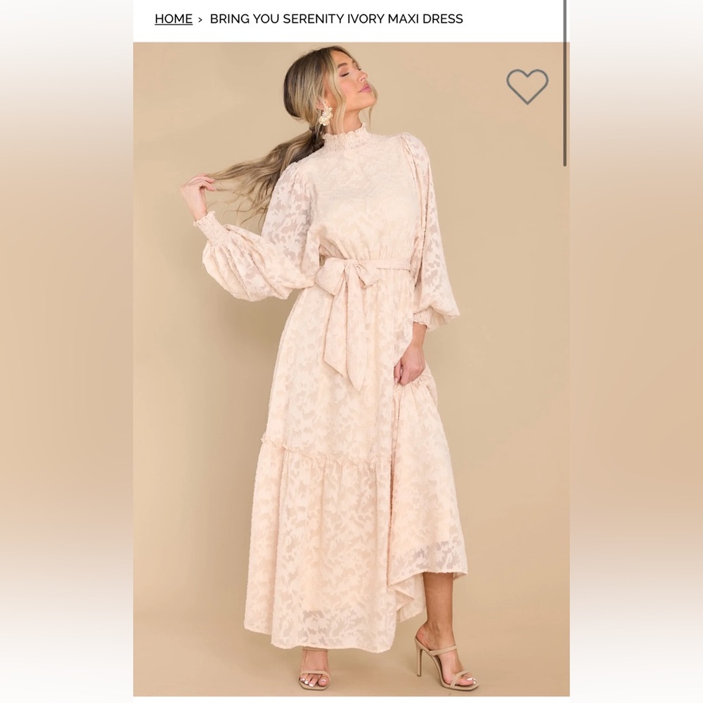 Red Dress Boutique Ivory Long Sleeve Lace Maxi Dress